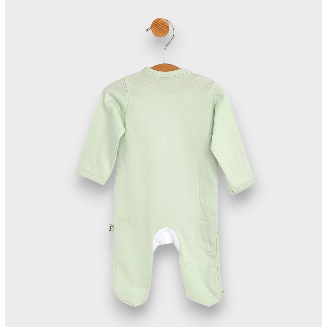 Rainy Komplet za izlazak iz rodilišta za bebe, 8 dijelova, Green bear